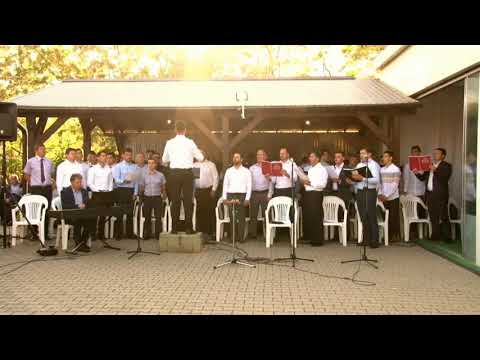 Un trist păstor - Cor bărbătesc reunit din Bucovina