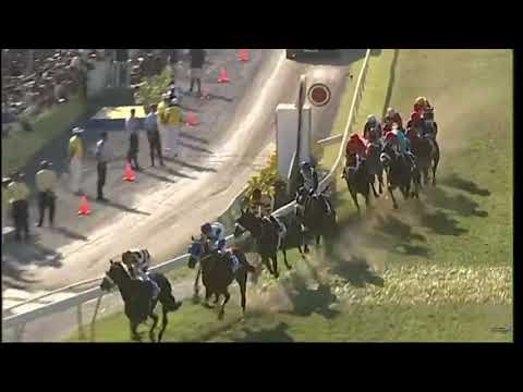 THE Courts Mammouth MAIDEN CUP 2019 - WHITE RIVER (Manoel Nunes)