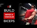 How To Get MORE VASCULAR Arms (BIG & RIPPED)