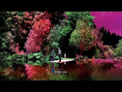 DE UN TIEMPO A ESTA PARTE - LA DELIO VALDEZ - VIDEOLYRIC