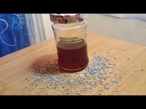 Rassegne di una spugna di acqua dolce da posti di pigmentary La decolorazione di crema da posti rossi