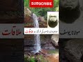 Maulana Yusuf Sahab Ki Farishtay Se Mulaqat Dawat O Tableegh Shorts Tableegh Islamicstatus