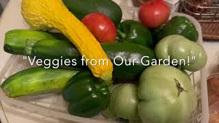 Saving on  Groceries with Veggies from Our Garden | Garden Update!