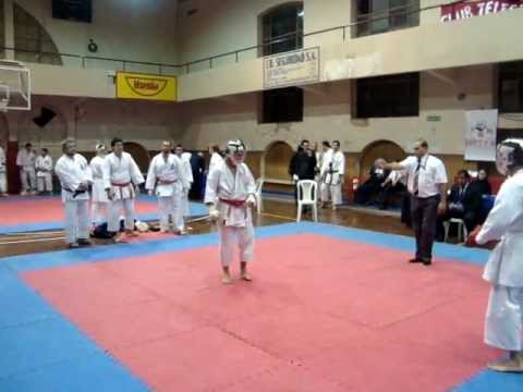 Torneo Metropolitano 2011