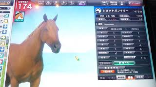 【スタホ4／スターホース4】スターホース4をやってみた(その80)〈ショットガンキラー①〉