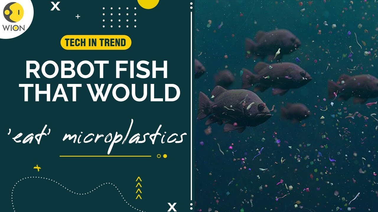 Chinese scientists develop robot fish that could help ocean clean-up | WION Originals