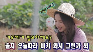 [影音] 率智 - 大概是因為下雨了 農唱版MV