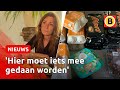 Flitsbezorger FLINK gooit BOODSCHAPPEN WEG in kliko | Omroep Brabant