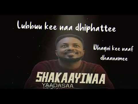 SHAKAAYINAA | faarfannaa haaraa yaadasaa shirii