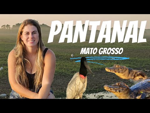 Explorando o Pantanal Mato-Grossense e a Cidade de Poconé
