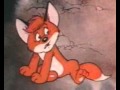Vuk 1999 Avi