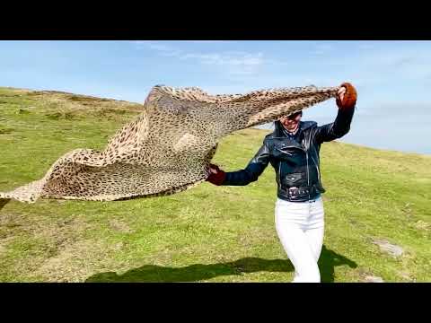 Papp Ádám - Önvallomás (Előadja: Vincze-Fekete Vera)