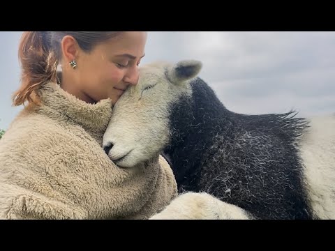 Some Say Animals Don’t Have Feelings… Watch This! ❤️