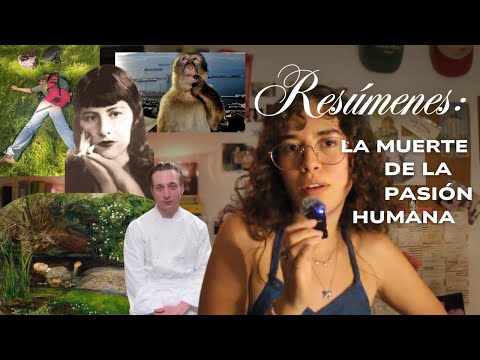 video ensayo imaginación (lo que nos roba la cultura de la sobreestimulación: crear y sentir)