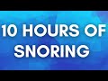 Snoring Sound Effect 10 Hours