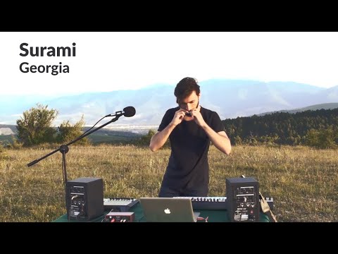 Ninshū - Performing Live Set with Nature