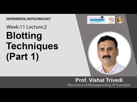 Experimental Biotechnology Intro Video