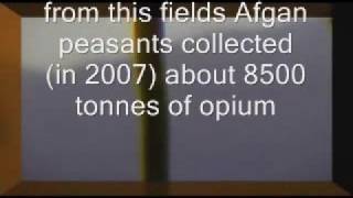 Fragment of Lithuanian Documentary about Narcotics (English subs)