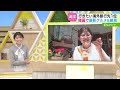 Clip 3