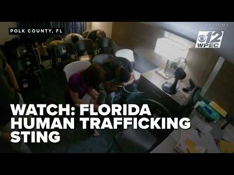 Former NFL player among 255 arrested in Florida human trafficking sting operation