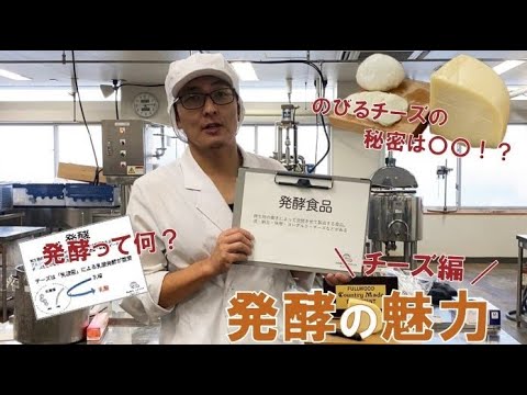 動物科学科 日本獣医生命科学大学 Webオープンキャンパス  食品科学科 体験実習「発酵の魅力　チーズ編」