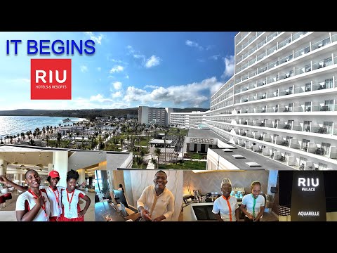 Videos del Riu Palace Aquarelle 5★ en Falmouth, JamaicaVer MásVerPrecios10CerrarConsulta por Whatsapp 🇦🇷BookingTripadvisorTripSkyscannerDespegarHotelesDestiniaTrivagoLastminuteTui
