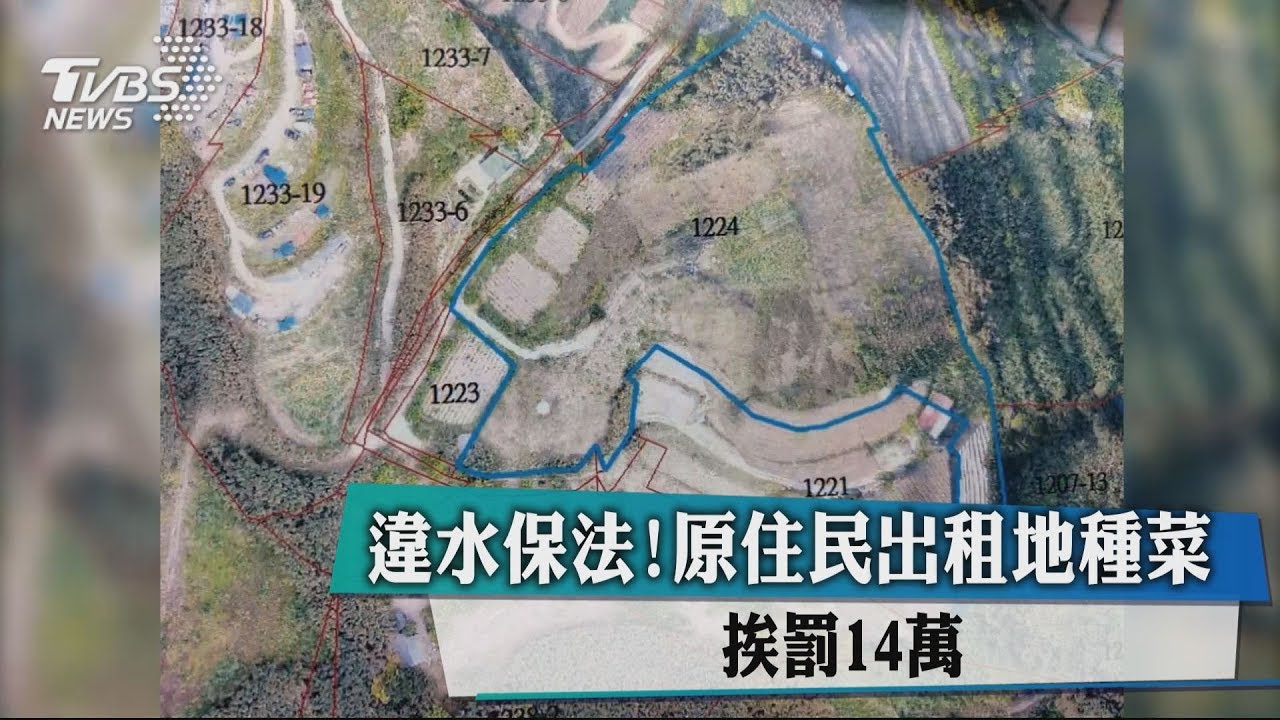 違水保法！原住民出租地種菜　挨罰14萬