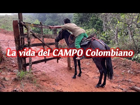 3 Days of Living the Colombian Countryside Experience