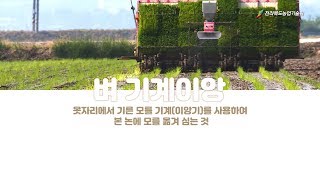 벼 기계 이앙작업