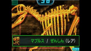 【カセキホリダー ムゲンギア】マプルス　全身　１００pt　ソロ　マプサウルス【ガジリノライバー】