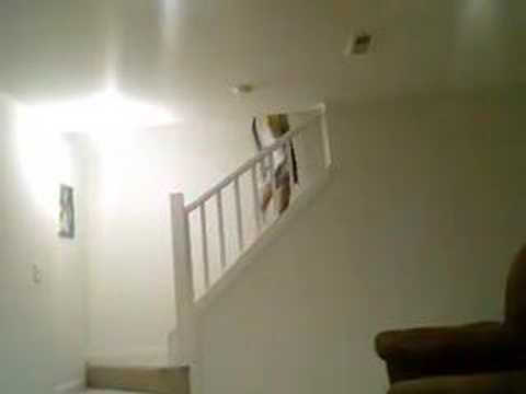 Wagner and the Ducks