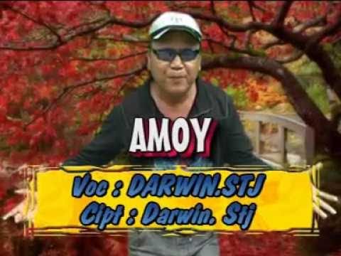 Amoy - Darwin STJ (Official Lyric Video)