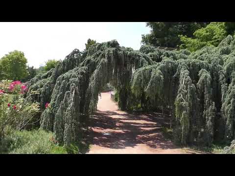 LYON (RHÔNE) - GRAND TOUR DE LYON 8