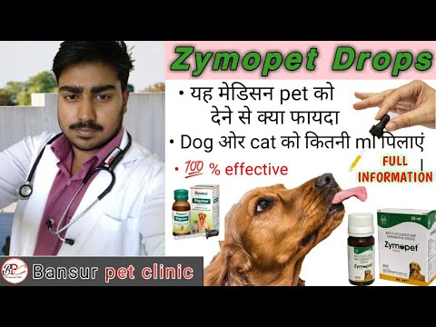 Zymopet syrup for Dogs  or cat ||  क्या Use है और कितनी ml दे।
