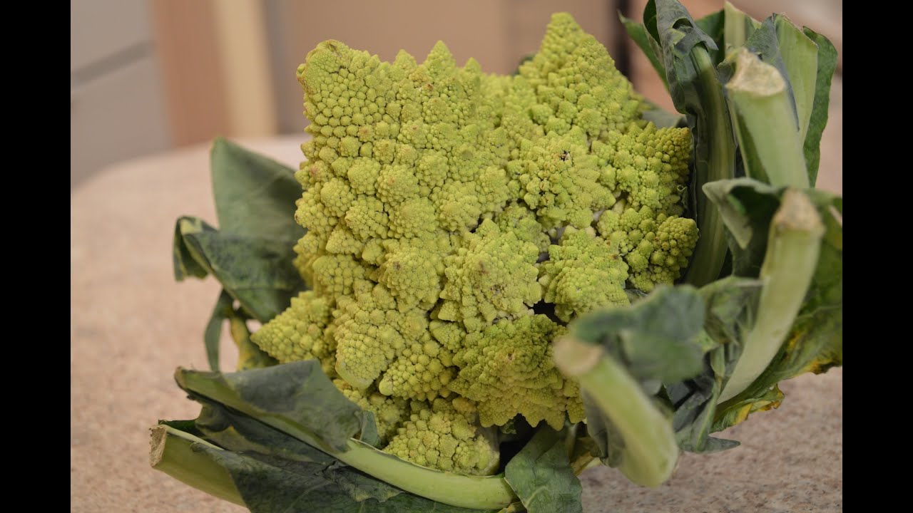 Ontario Romanesco Broccoflower at Harvest Barn Country Markets: What I Say About Food - YouTube