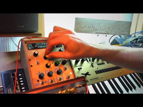 Meditative sound exploration with MFOS Echo Rockit (DIY synth)