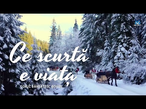 Ce scurtă e viața - Cor Bărbătesc Botuș | Muzica ProiectM