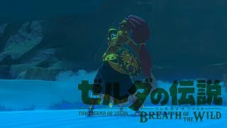 【ゼルダの伝説BotW】世界を救う旅をする #61【実況プレイ】