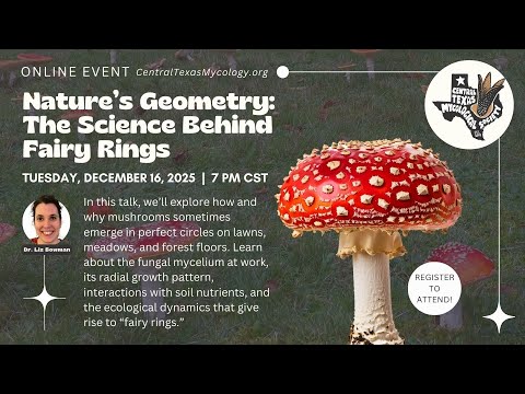 LIVESTREAM: Nature’s Geometry: The Science of Fairy Rings