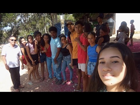 Horta Comunitária Das irmãs em Joaquim Gomes | AL