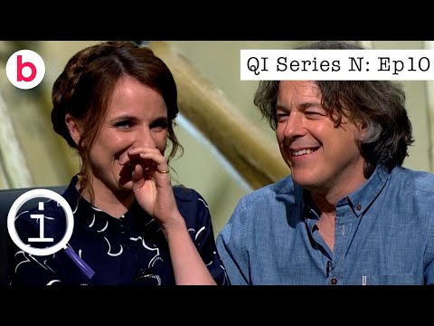 QI Series N Episode 10 FULL EPISODE | With David Baddiel, Cariad Lloyd & Ross Noble