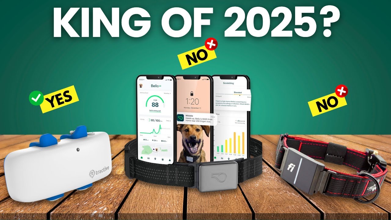 6 Best Dog GPS Trackers 2025 - (Tractive vs Fi vs Whistle vs Garmin)