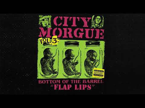 ZillaKami - FLAP LIPS (Official Audio)