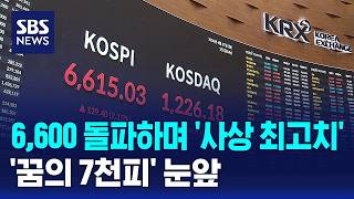 6,600 돌파하며 '사상 최고치'..'꿈의 7천피' 눈앞 / SBS