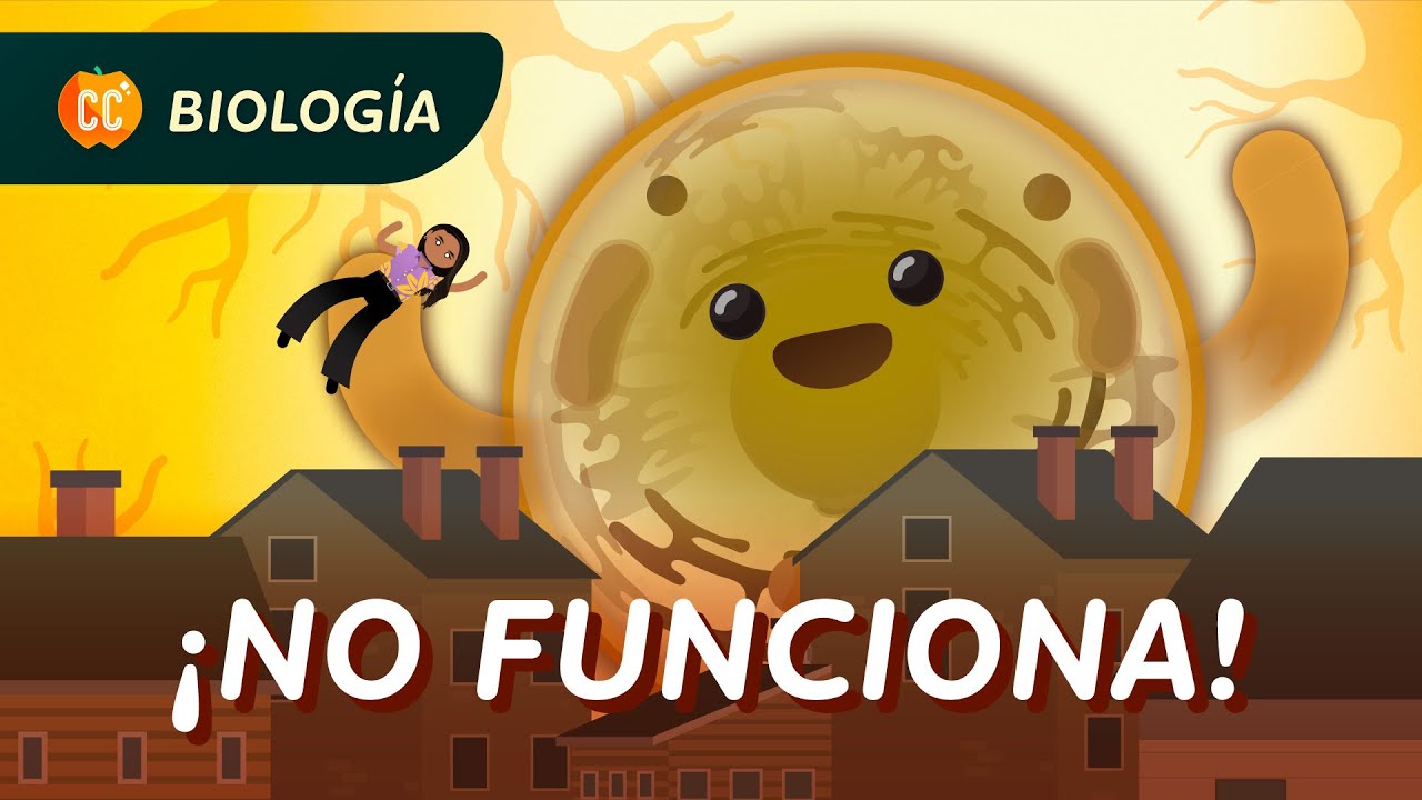 Porque no somos una gran celula?: Crash Course Biología #41