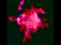 The Legendary Pink Dots - Bella D.