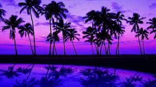 The Best Of Satin Jackets ' Mixed By DelMar.G