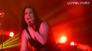 Evanescence - Say You Will (Live)
