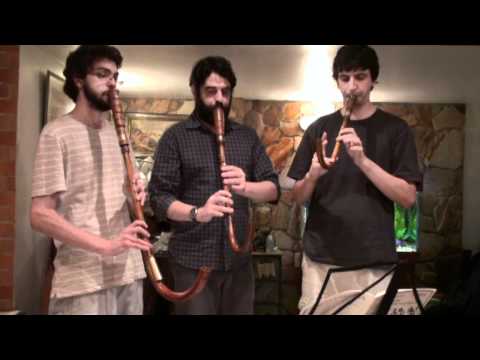 16th Century music on crumhorns - Susato - Crumhorn Trio -  Die vier Branlen