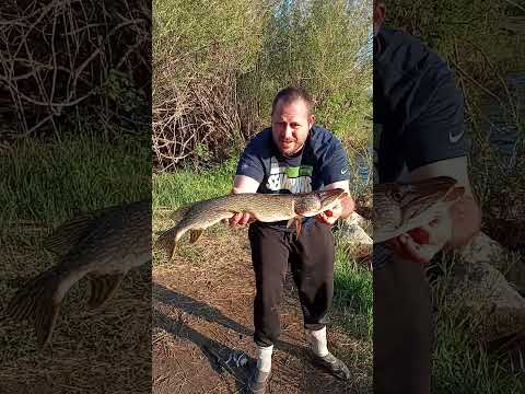 Fishing With Spoons.